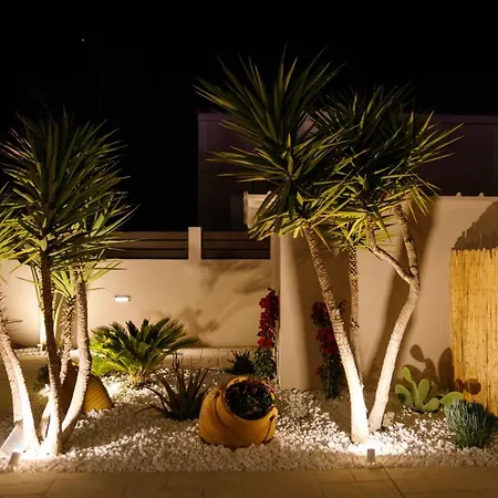 Zante Oceana טסיליבי